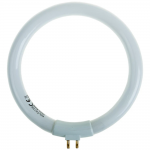 ��������� �������������� �4