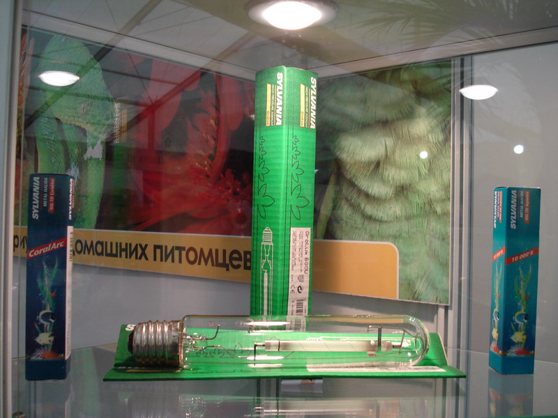 _editor_DSC03880.jpg