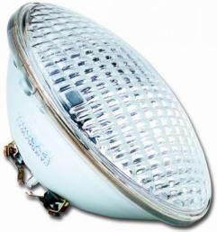 _editor_par_56_underwater_sm.jpg