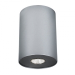   Nowodvorski Point 6005 silver / graphite l