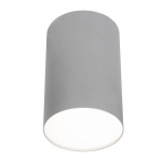   Nowodvorski 6531 Point Plexi silver l