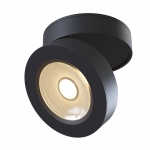     Maytoni C022CL-L12B4K ALIVAR, 12, 4000, 1000, 36, Ra80/1, IP20,    360,    80, 