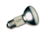 75W 240V R95 Pearl