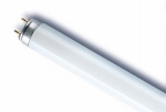 30W/77 FLUORA T8