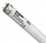 F36W T8 BL368 24"