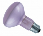 CONCENTRA SPOT NATURA R80 60W 230V 240cd E27 50