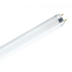   Osram 4008321959669 L 18W 765 G13