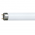 F58W/T8/ACTIVA