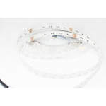RSH-5050RGB60-10MM-24V-N/A-HQ SMD 2835 60LED/ RGB 13W/ 120lm/ IP33 1 ( 5)
