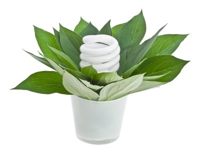 _editor_lamp_util.jpg _editor_lamp_util.jpg